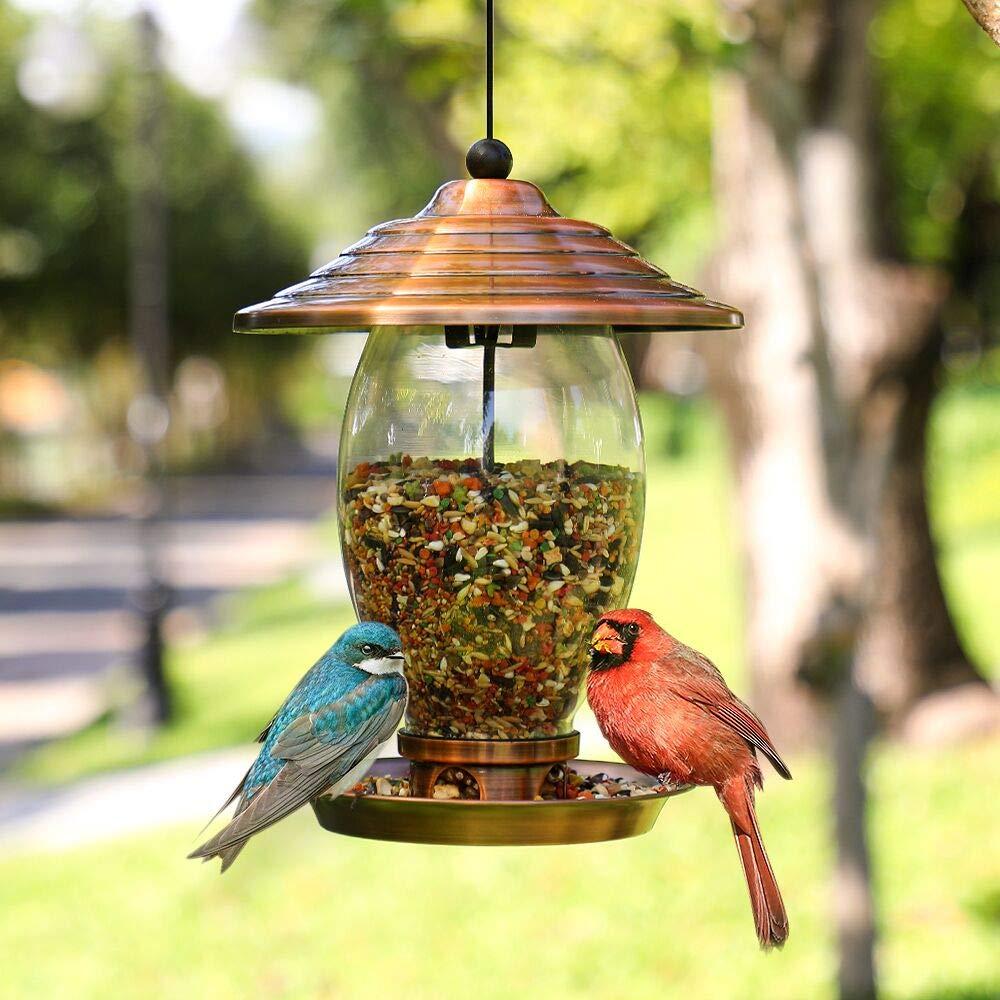 REALEAD Metal and Glass Wild Bird Feeder for Outside - 3 lbs Seed Capacity, Outdoor Hanging for Garden Yard