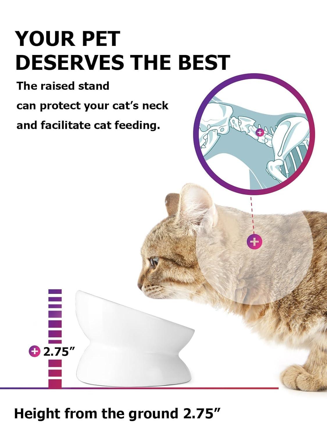 Cat Bowl Anti Vomiting,Raised Cat Food Bowls, Tilted Elevated Cat Bowl, Ceramic Pet Food Bowl for Flat Faced Cats, Small Dogs