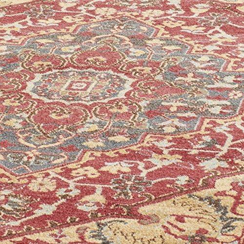 SAFAVIEH Mahal Caelestinus Oriental Area Rug, Navy/Red, 9' x 12'