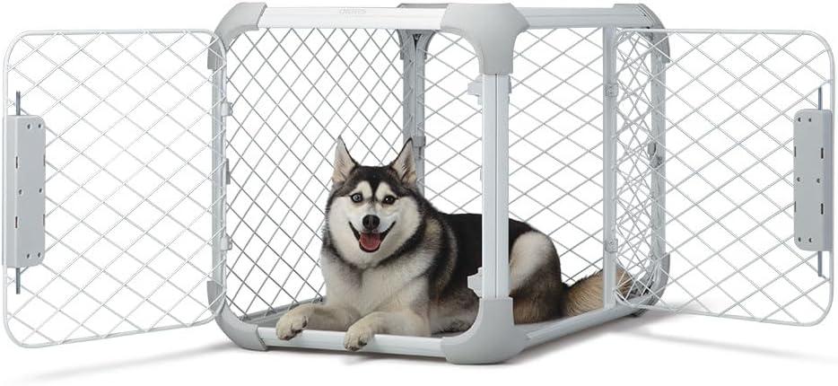 Evolv Modern 2-Door Dog Crate