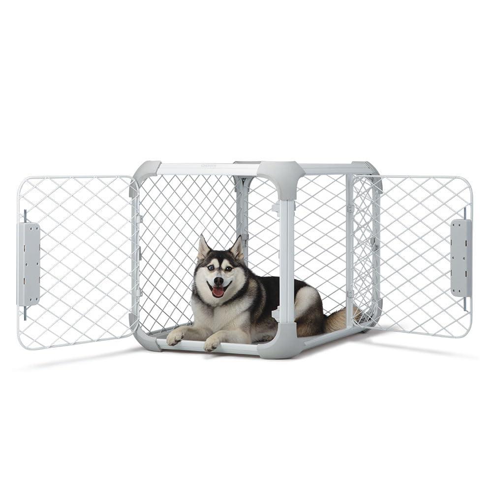 Evolv Modern 2-Door Dog Crate