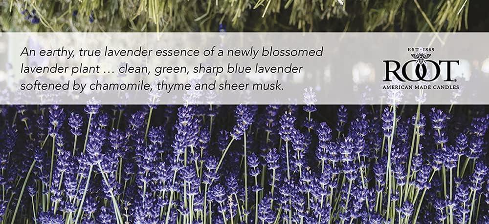 Root Candles English Lavender Scented Jar Candle