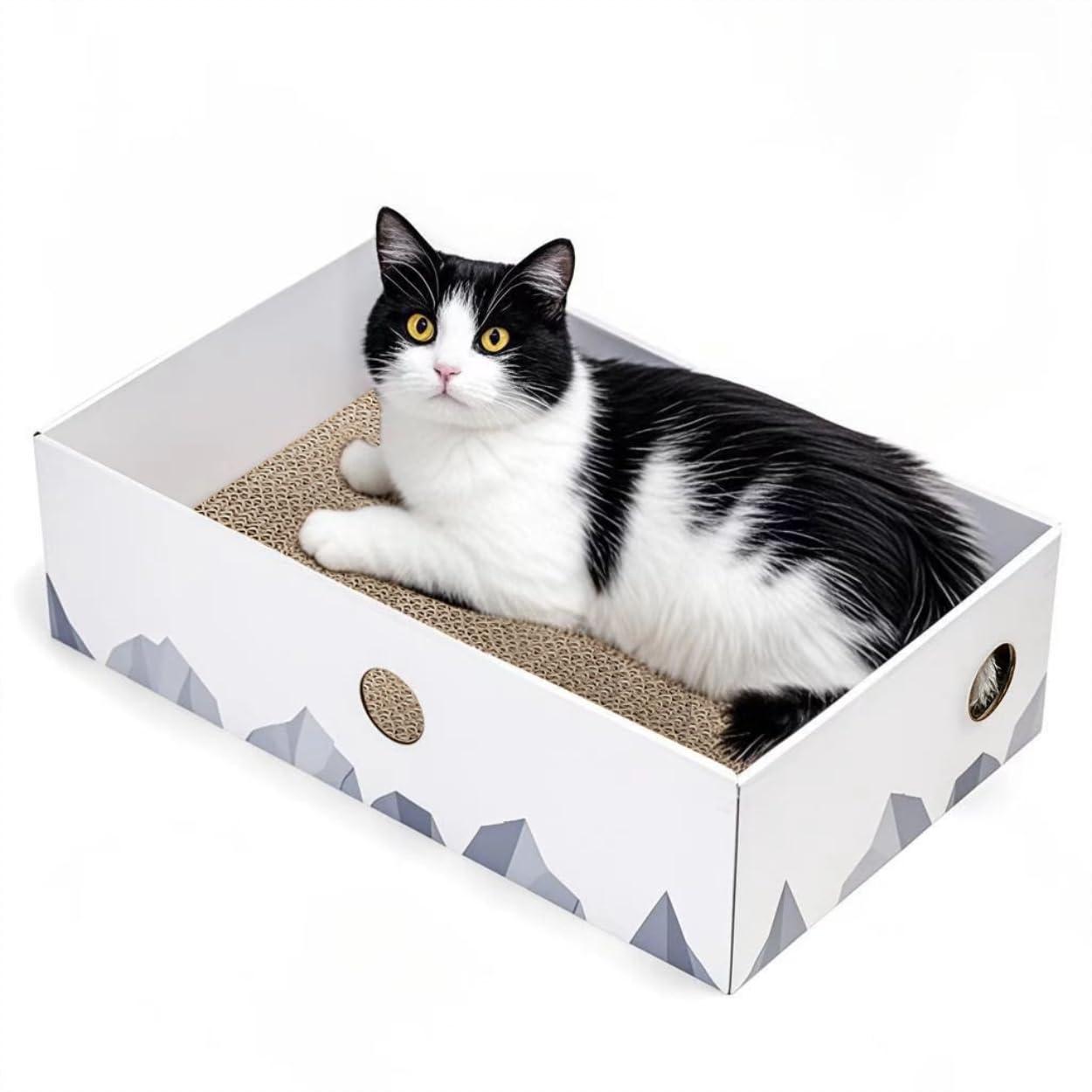 Conlun Cat Scratcher Cardboards with Box, 5-Pack Replacement Reversible Cat Scratcher Pad, Large