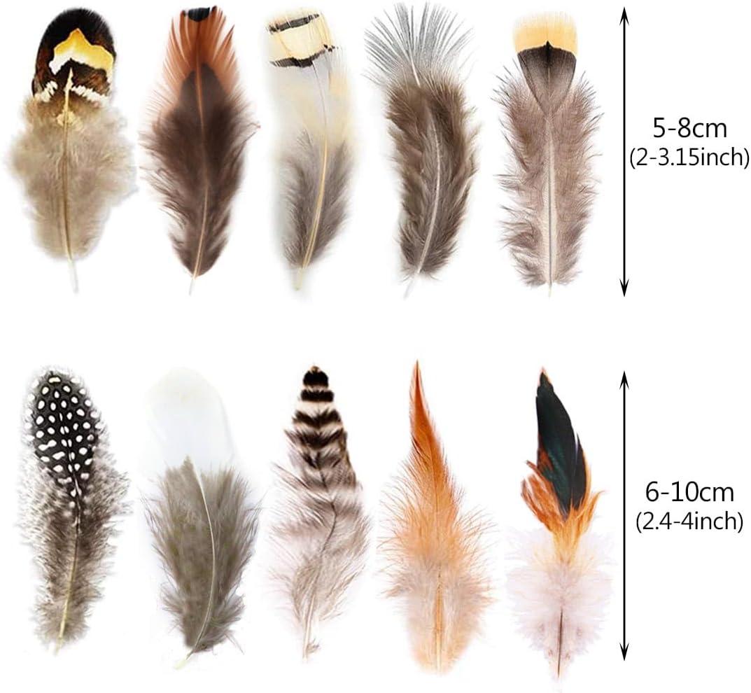 180pcs 6 Style Natural Feathers Assorted Mixed Feathers for Dream Catcher Crafts Decoration (6 Styles/180 Pcs)