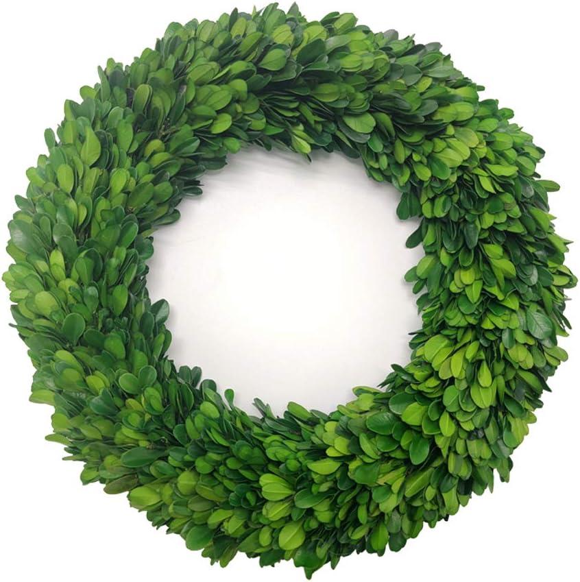 Alby Preserved Boxwood Real Greenery Wreath