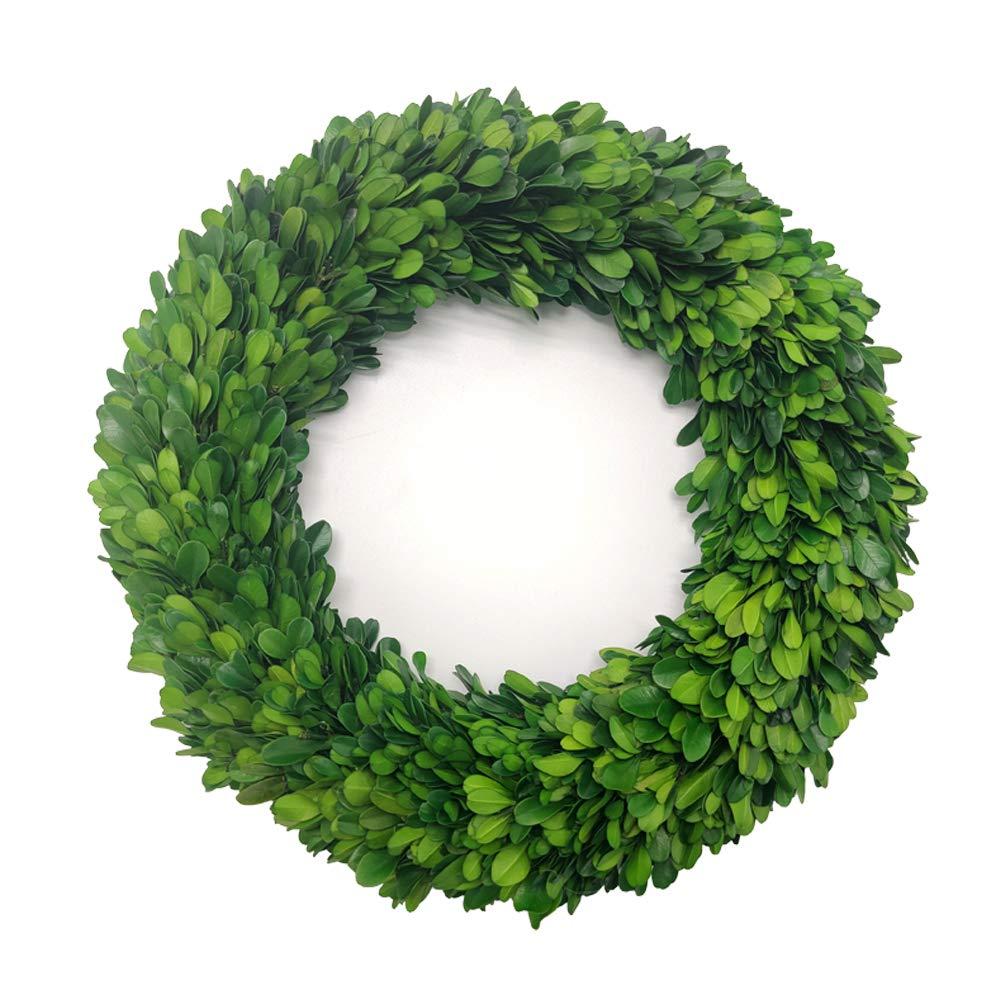 Alby Preserved Boxwood Real Greenery Wreath