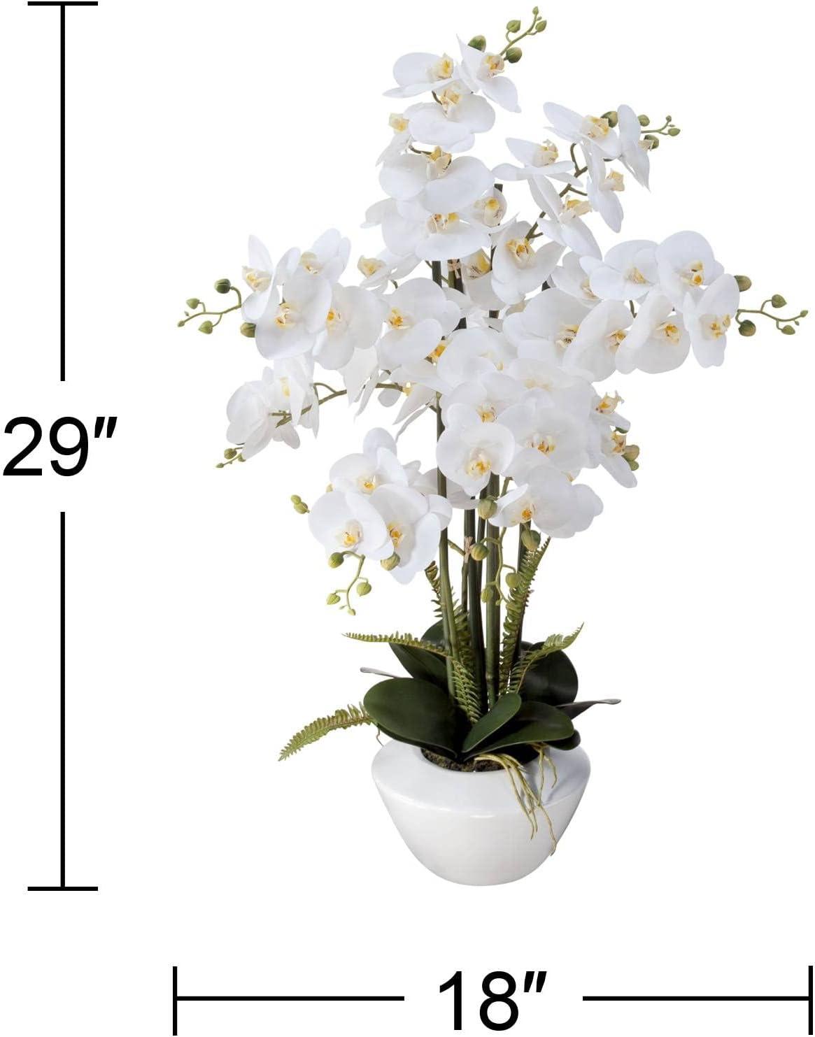 Dahlia Studios Potted Faux Artificial Flowers Realistic White Phalaenopsis Orchid in White Ceramic Pot Home Decoration 29" High