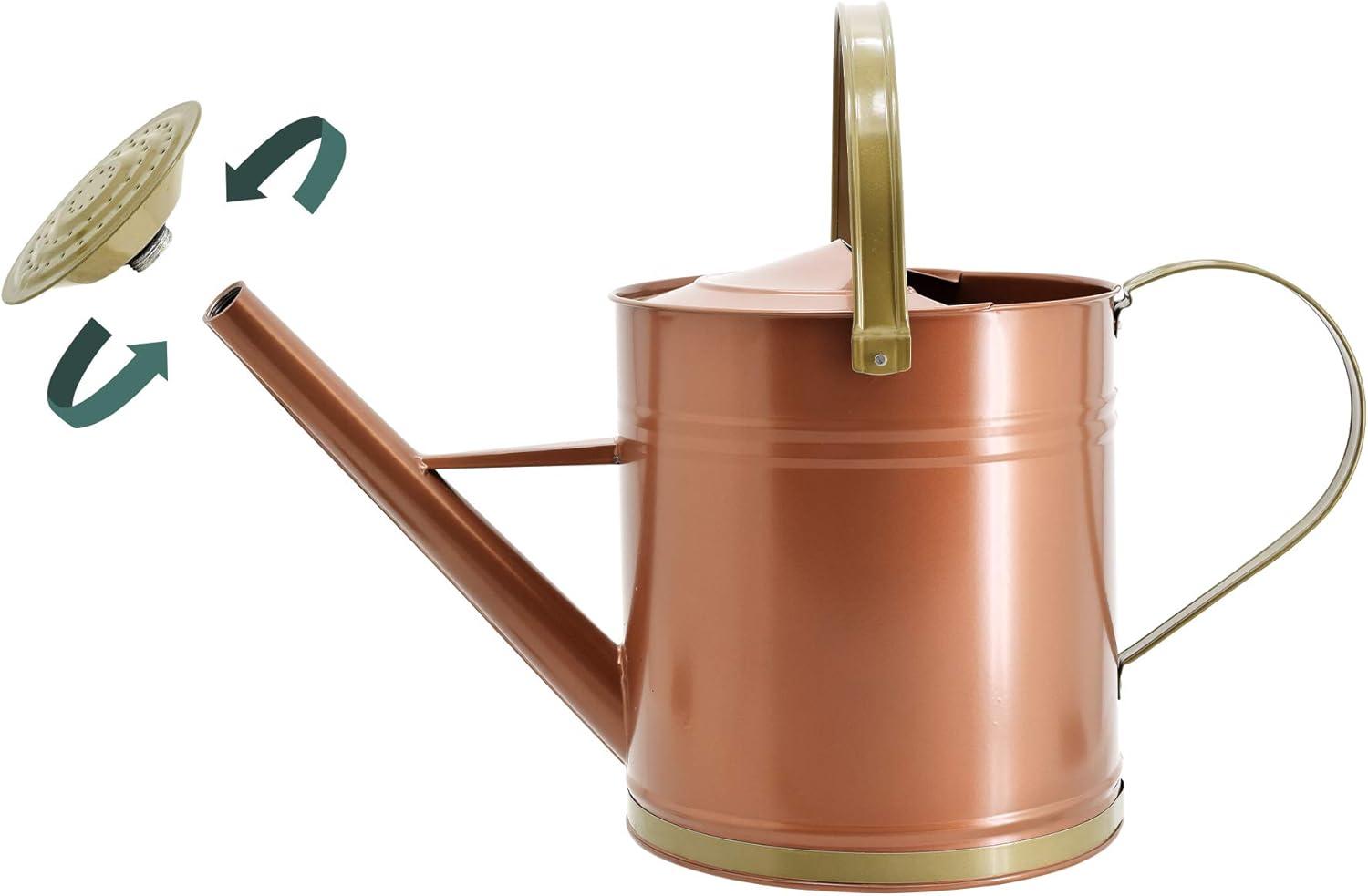 Classic Bronze Galvanized Metal Watering Can with Shower Wand