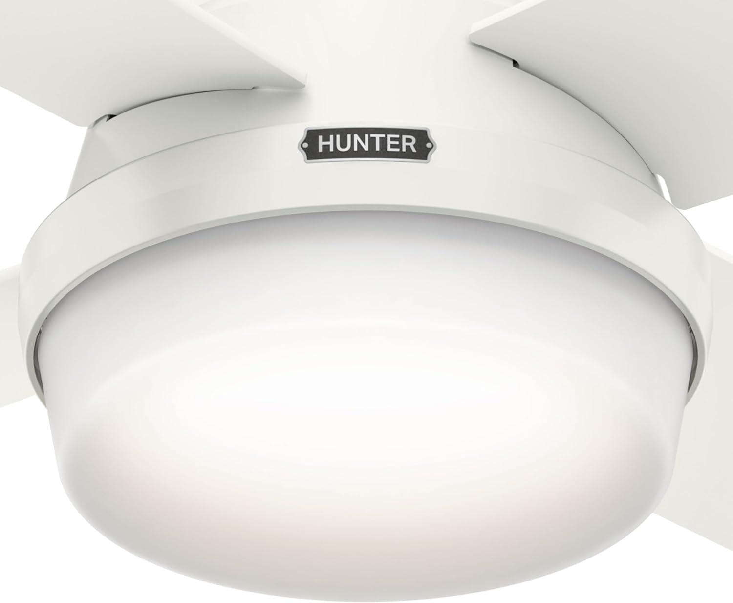 Dempsey Low Profile 44" 4 - Blade Indoor Flush Mount Small Room Ceiling Fan with Lights and Remote