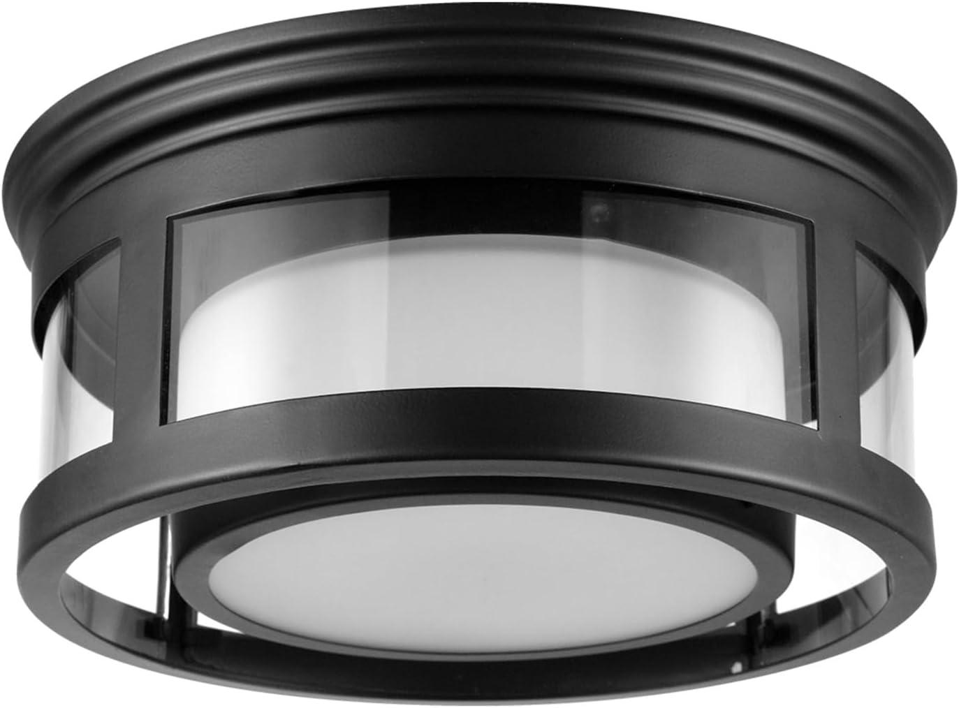 Matte Black and Frosted Glass Indoor/Outdoor Flush Mount Light