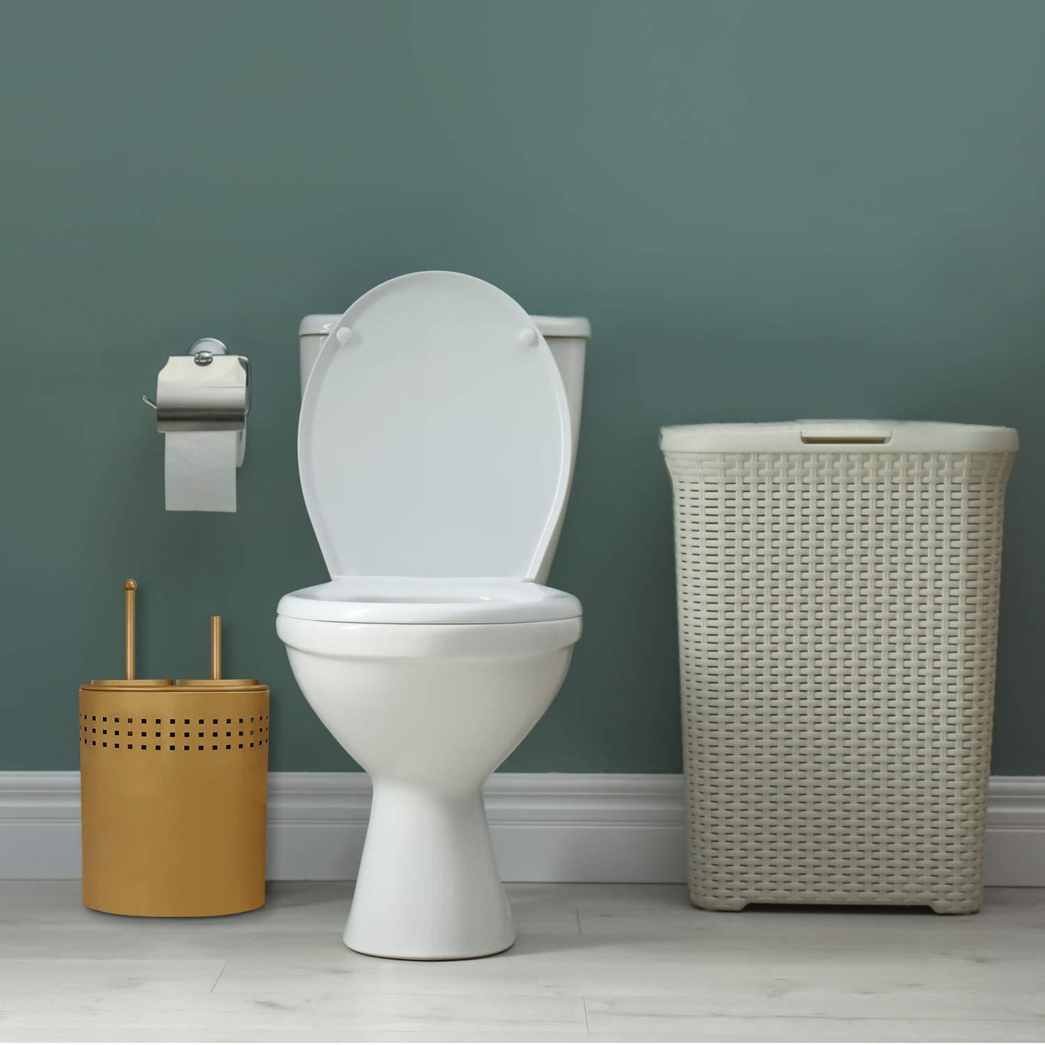 Blue Donuts Blue Donuts Metal Toilet Brush Set