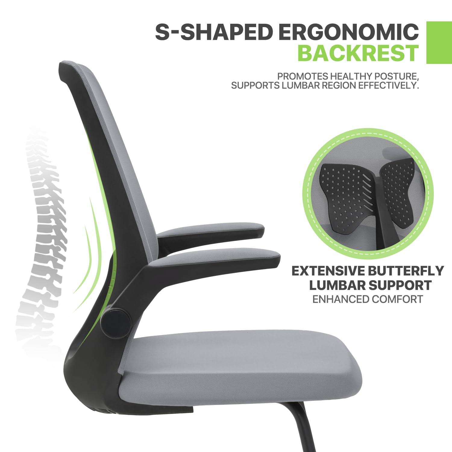 Magshion Set of 2 Ergonomic Office Chair, Computer Desk Seat with Lumbar Support & Flip-Up Arms for Home Office, Grey