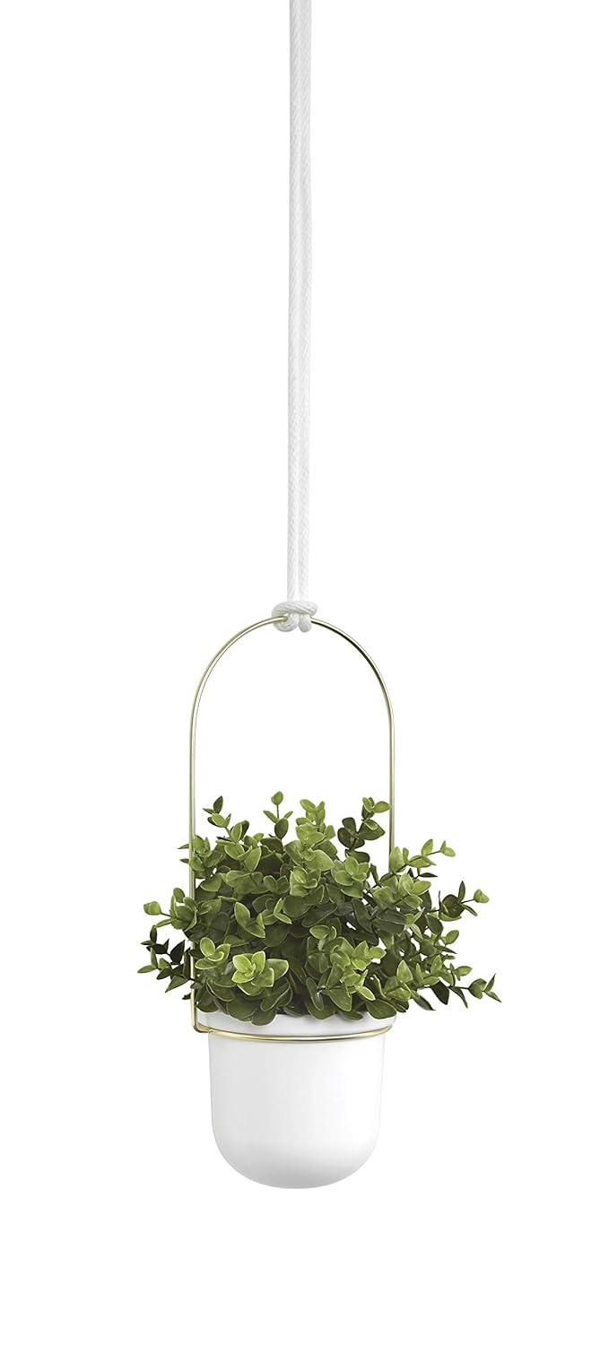 Umbra Triflora 3 Hanging Wall Planter