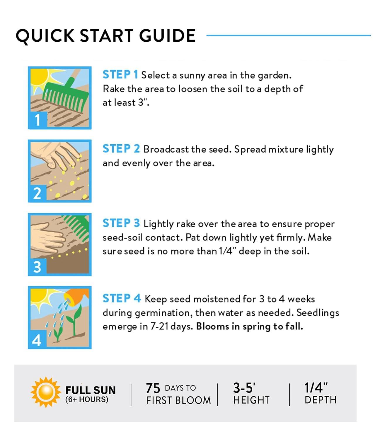 Burpee Hummingbird & Butterfly Mix Wildflower Seeds – Non-GMO, Attracts Pollinators, Annual & Perennial Flowers