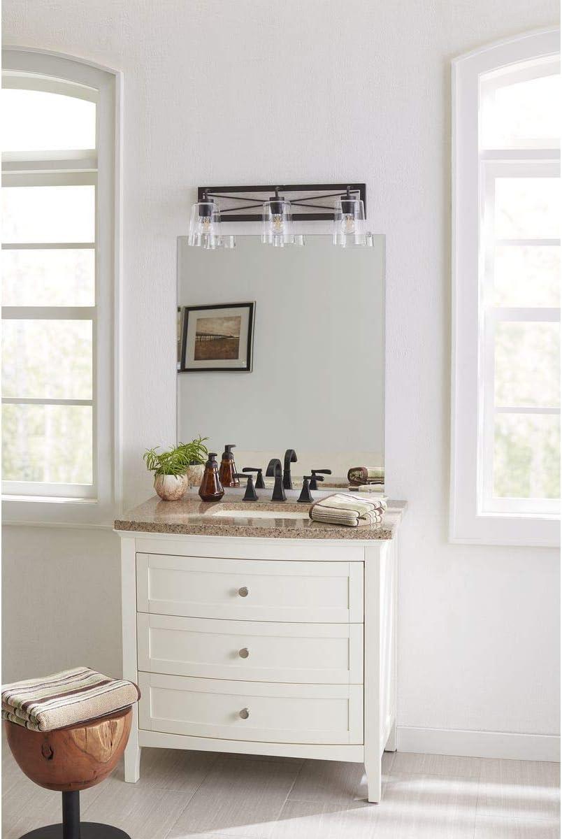 Progress Lighting Briarwood 3-Light Bath Vanity in Graphite with Clear Glass Shades