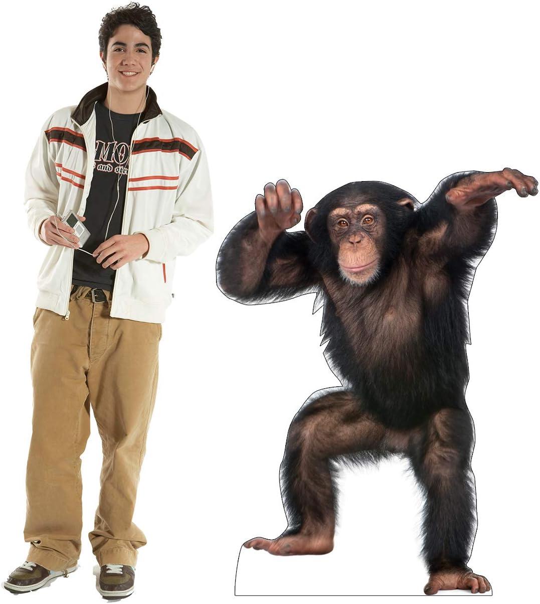 Advanced Graphics 1486 Young Chimpanzee - 42" x 33" Cardboard Standup