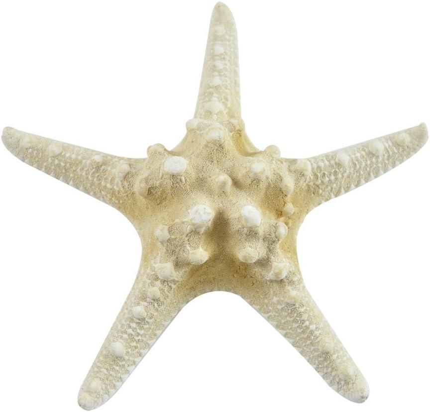 Set of 10 Beige Knobby Starfish Coastal Decor