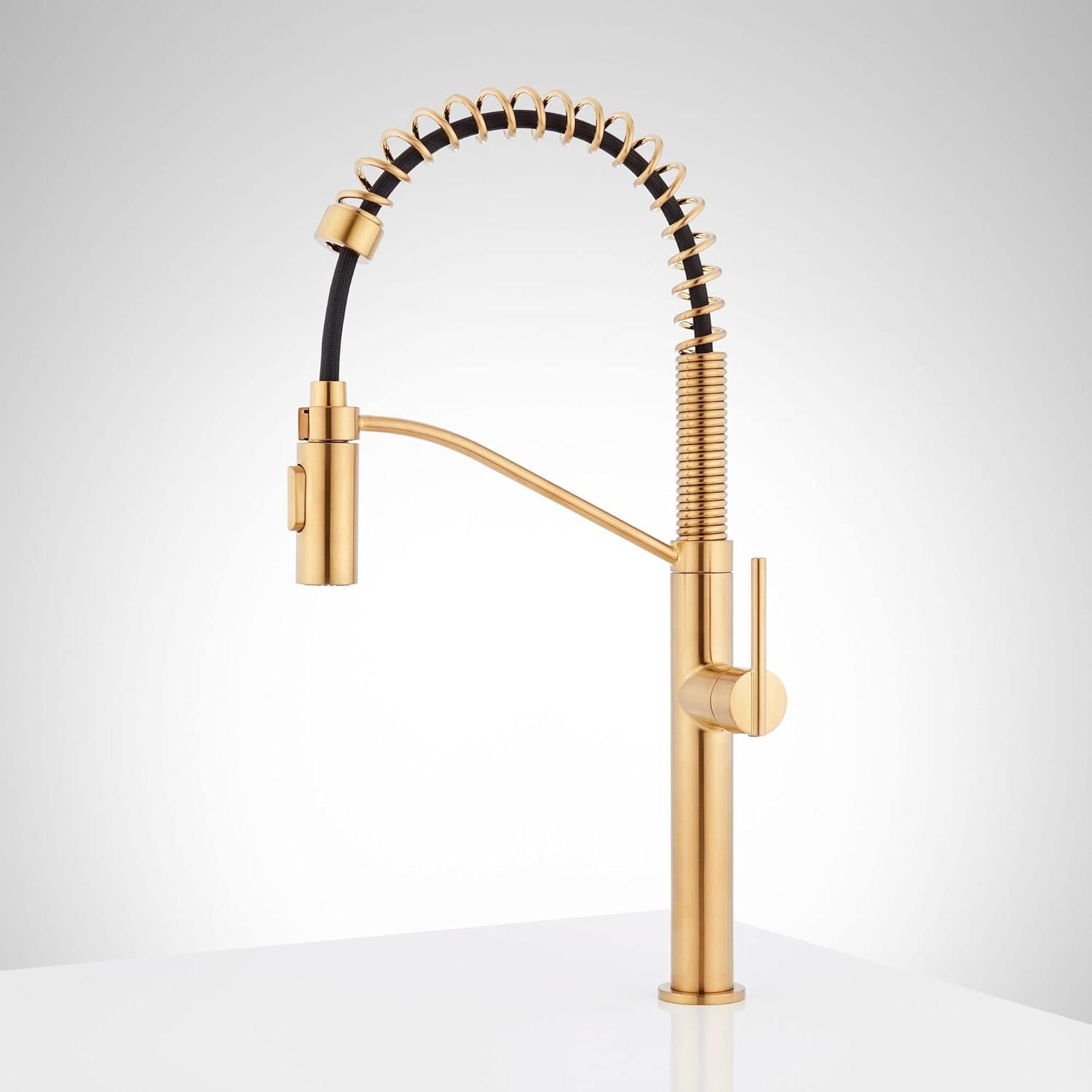 Matte Black Single Handle Pull-Down Kitchen Faucet with Spray