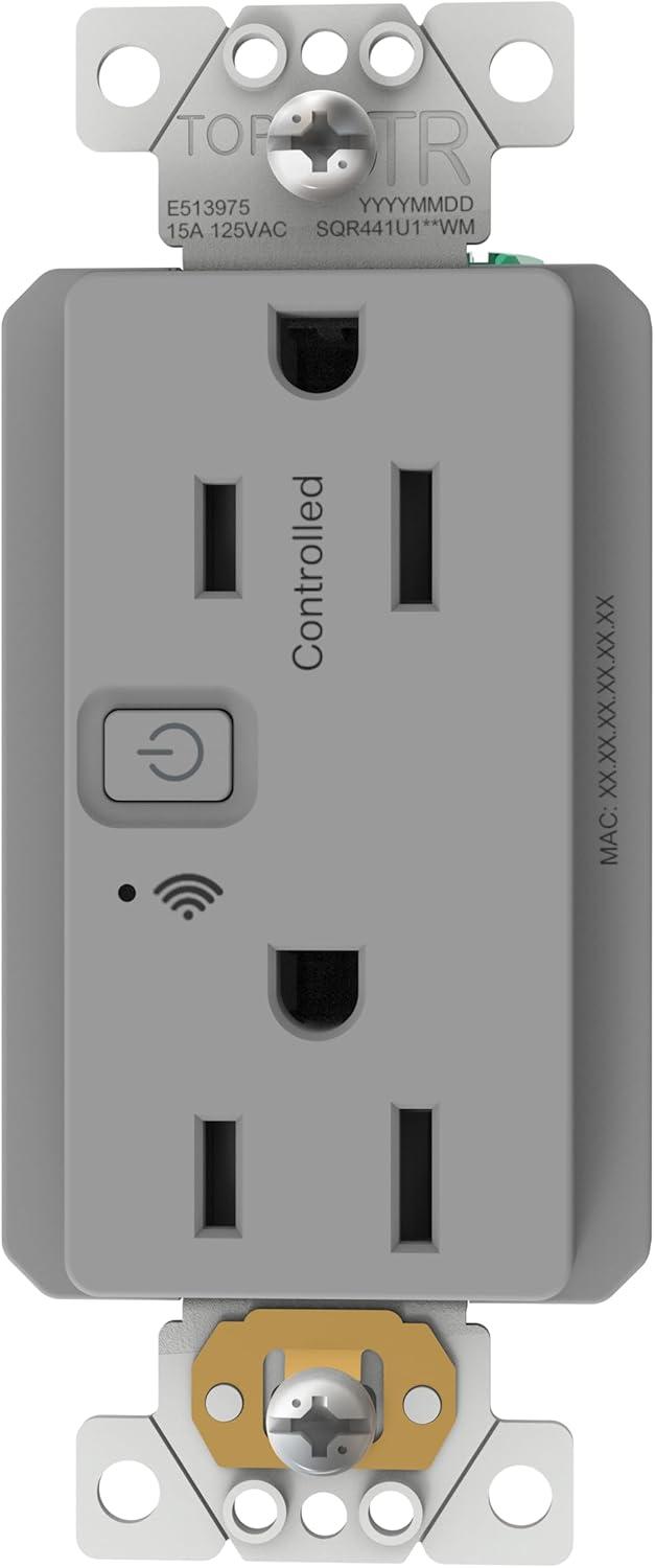 Gray 15A Tamper Resistant USB Outlet with Wall Plate