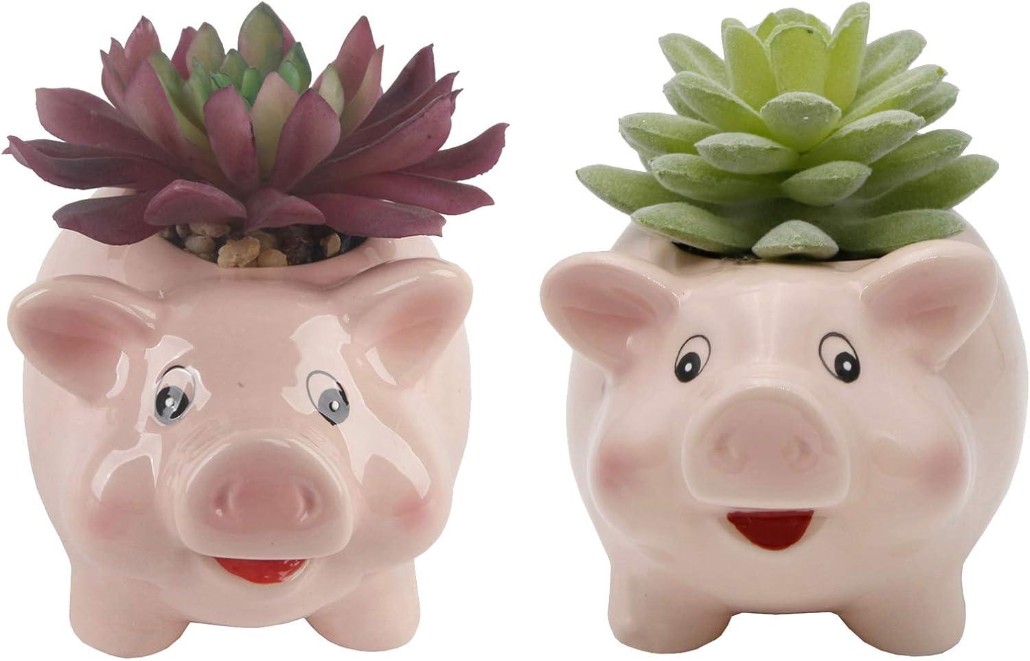 Flora Bunda Set of 2 Artificial Succulents in Pink Ceramic Pig Planters