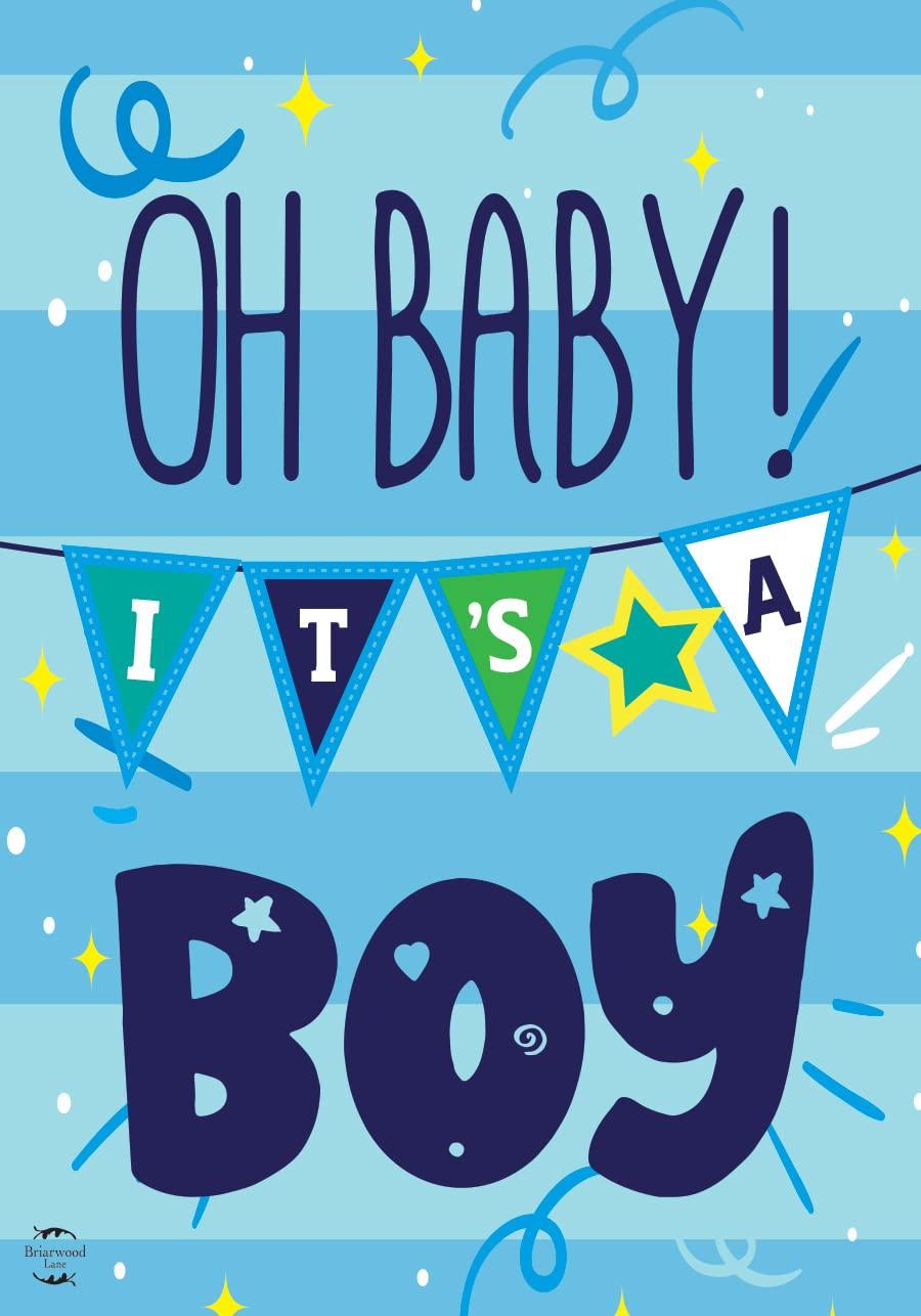 Baby Boy Double-Sided House Flag 28" x 40" Briarwood Lane