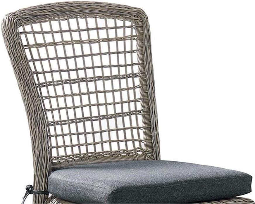 Asti All-Weather Gray Wicker Outdoor Set of Two Dining Chairs with Cushions