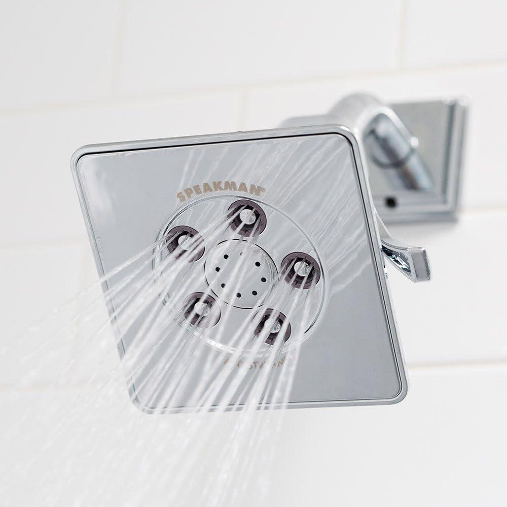 Rainier 2.0 GPM Adjustable Shower Head