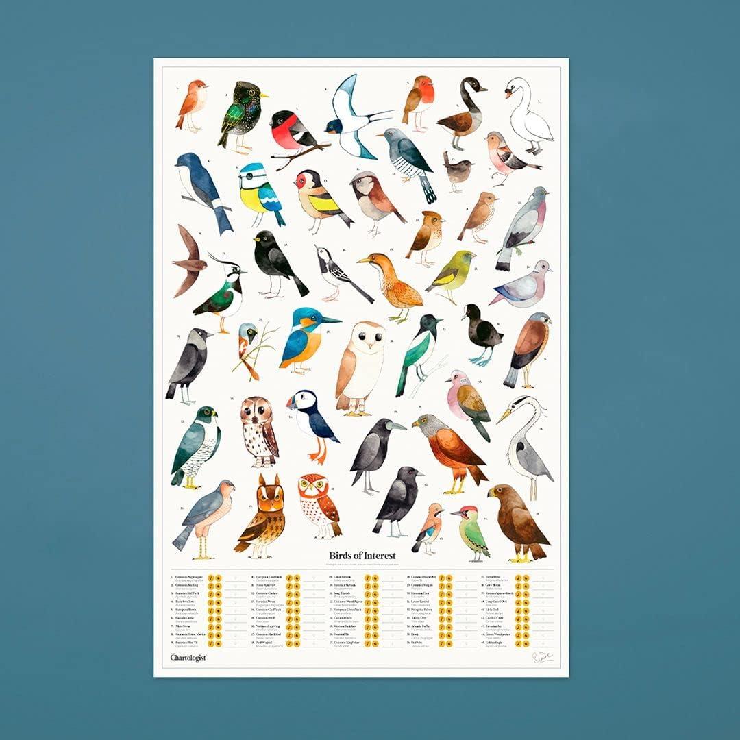 Birds of Interest Interactive Scratch Off Poster