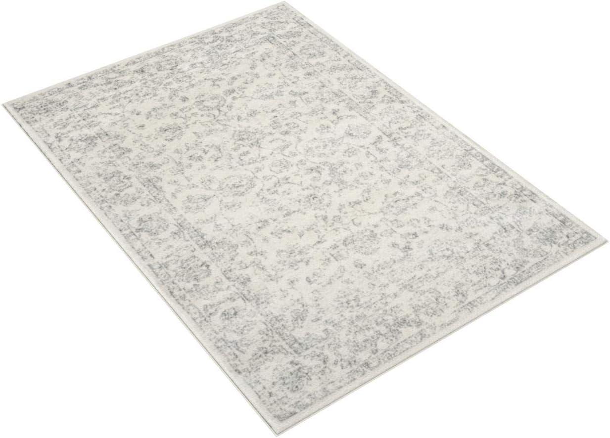 Carnegie CNG621 Power Loomed Area Rug  - Safavieh