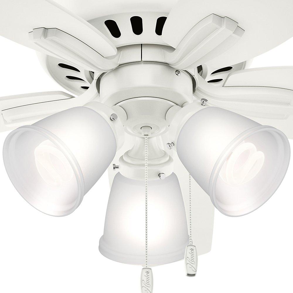 Hunter Fan Newsome 42" 5 - Blade Traditional Indoor Flush Mount Ceiling Fan with Lights and Pull Chains
