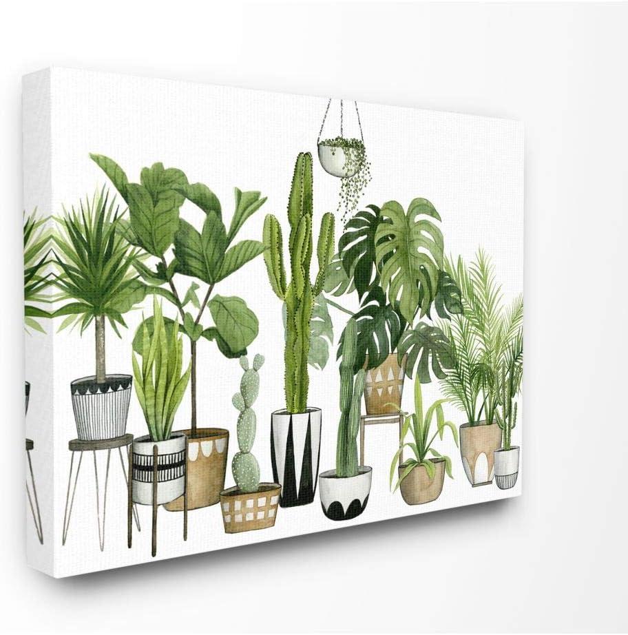 Boho Plant Scene with Cacti and Succulents Canvas Wall Art