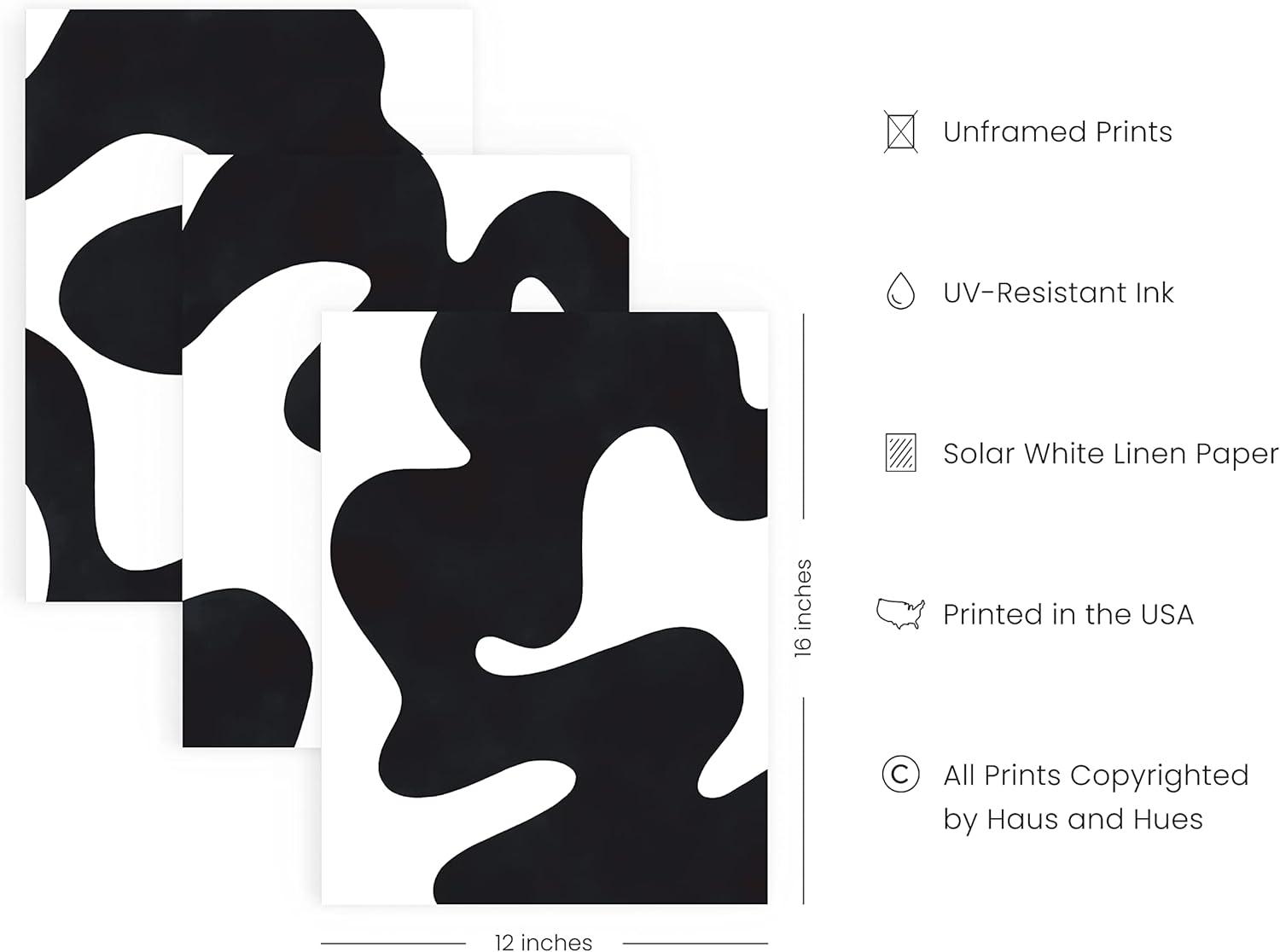 HAUS AND HUES Black and White Abstract Wall Art - Set of 3 Black and White Wall Art Modern Wall Decor, Contemporary Wall Art Modern Art Wall Decor, Black and White Artwork for Walls (Unframed 12x16)