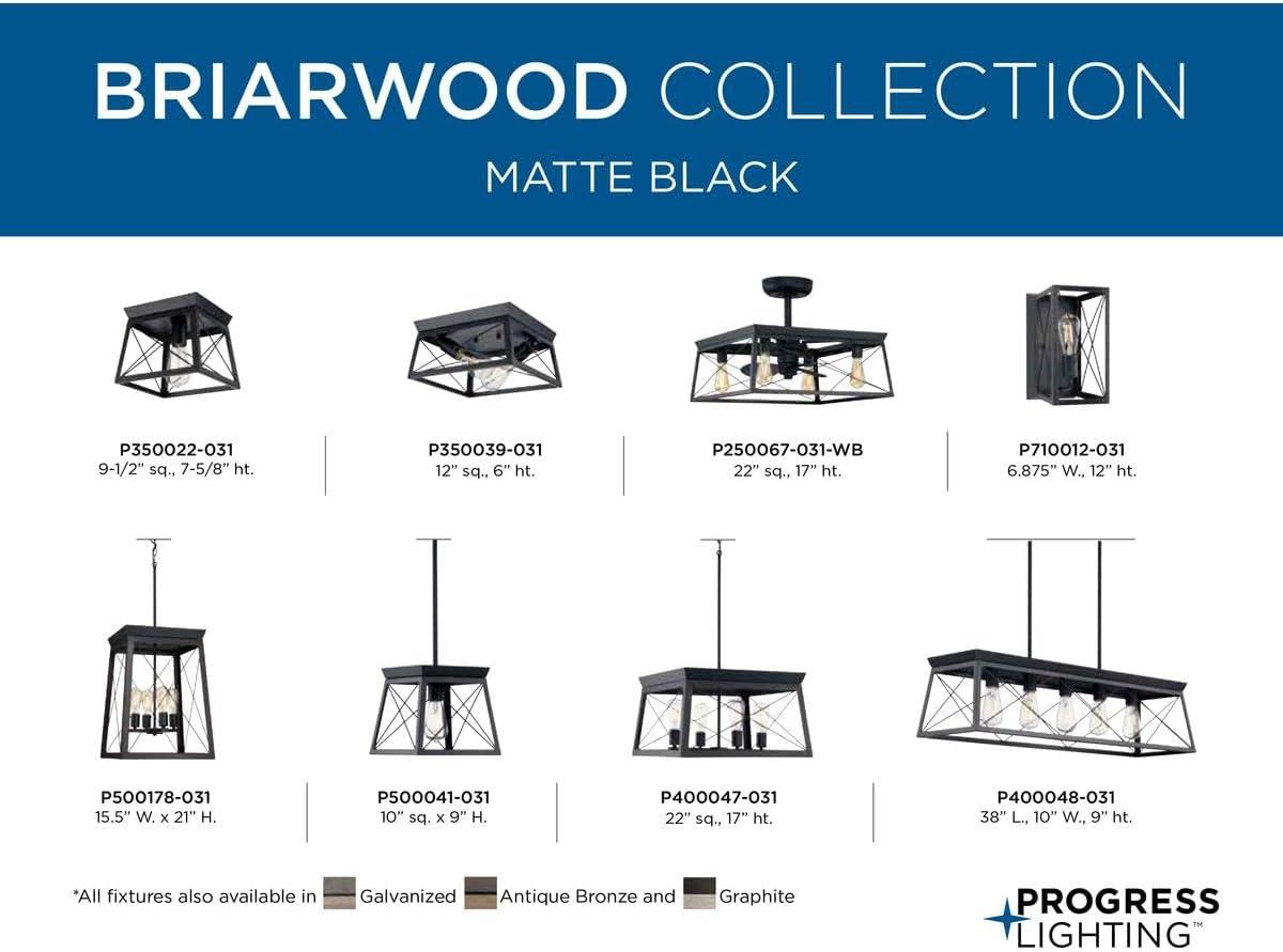 Briarwood Collection Two-Light Textured and Cerused Black Farmhouse Style Flush Mount Ceiling Light