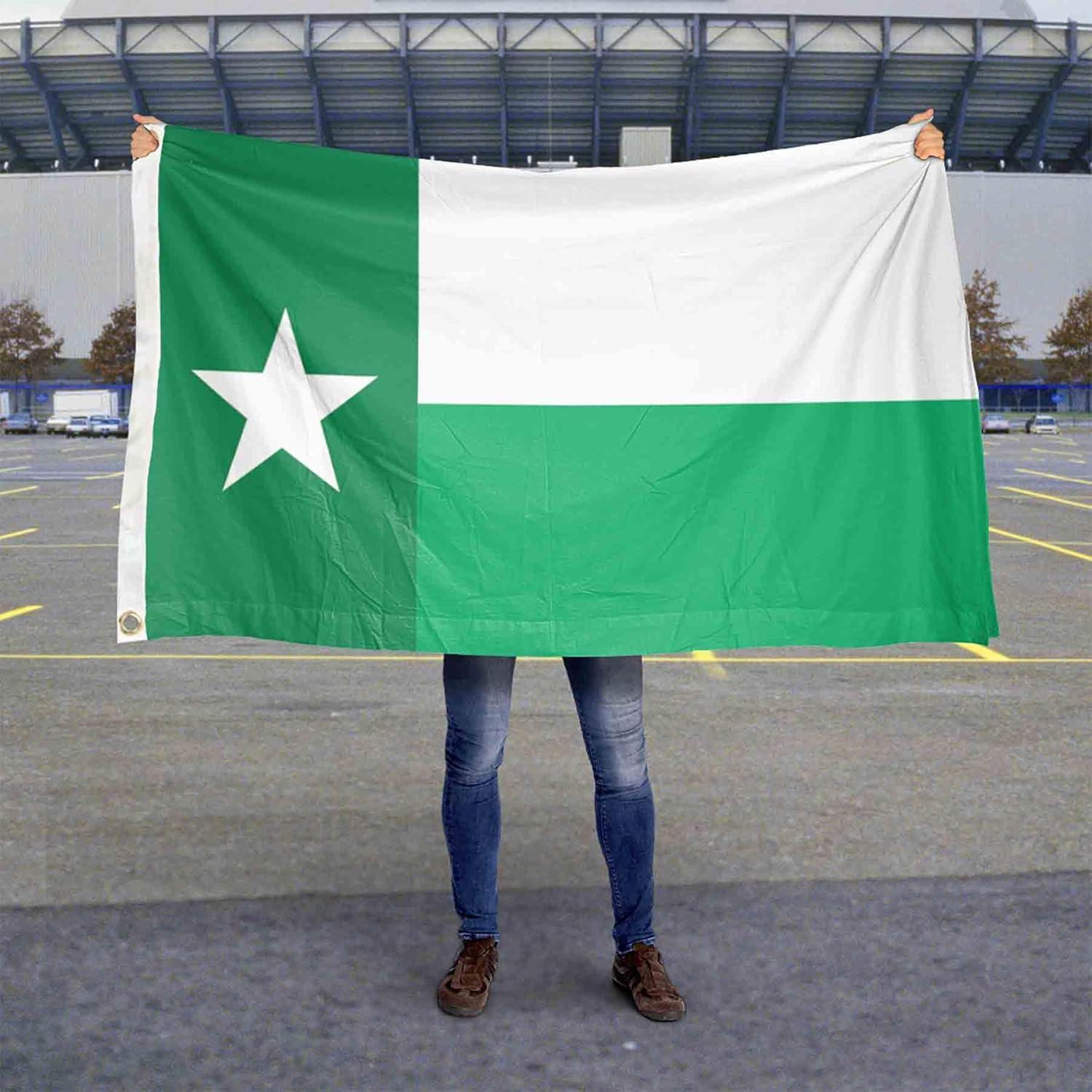 Desert Cactus University of North Texas Flag UNT Mean Green Flags Banners 100% Polyester Indoor Outdoor 3x5 (Green Texas Flag)