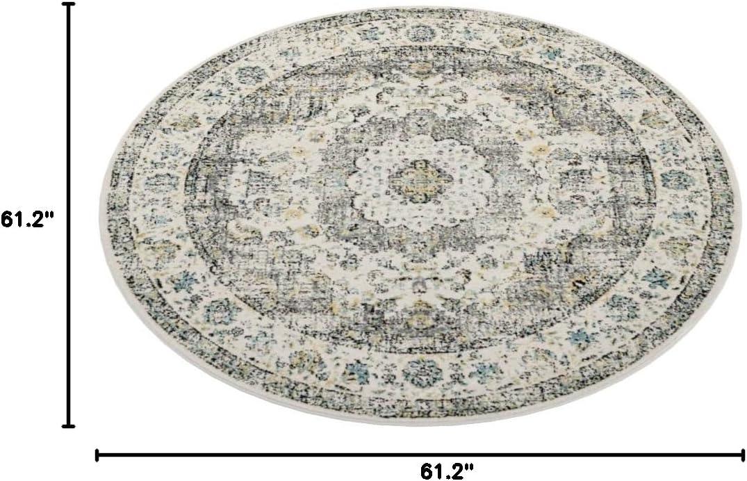 Evoke EVK220 Power Loomed Area Rug  - Safavieh