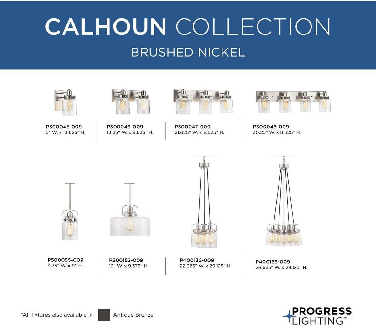 Progress Lighting Calhoun Collection 1-Light Bath & Vanity Wall Light, Brushed Nickel, Clear Glass Shade