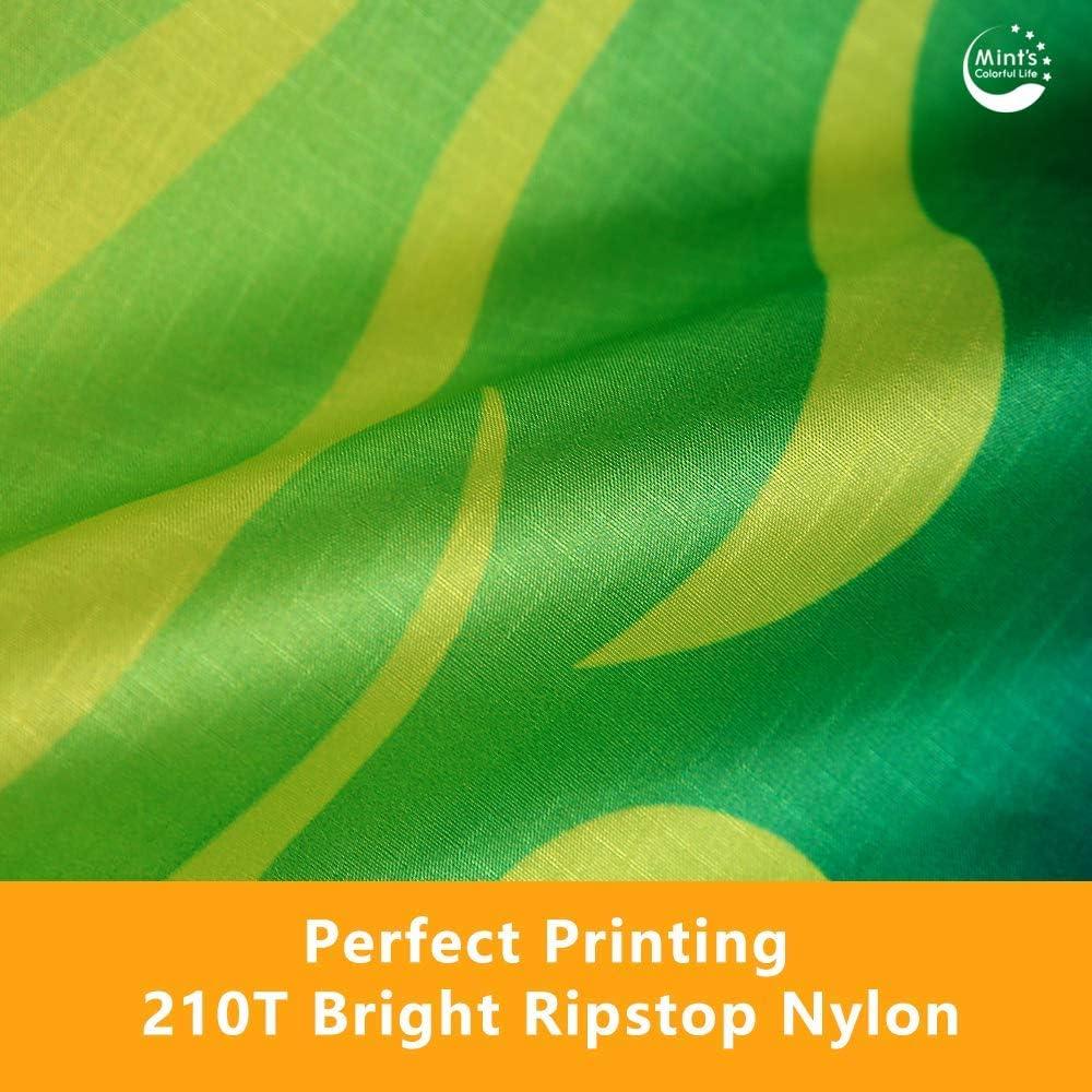 Mint's Colorful Life Devil Fish Kites for Kids AdultsEasy to Fly Delta Kite Single Line Large, Kite Handle Include (Green) Green