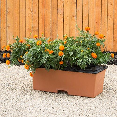 EarthBox Container Gardening System - Terra