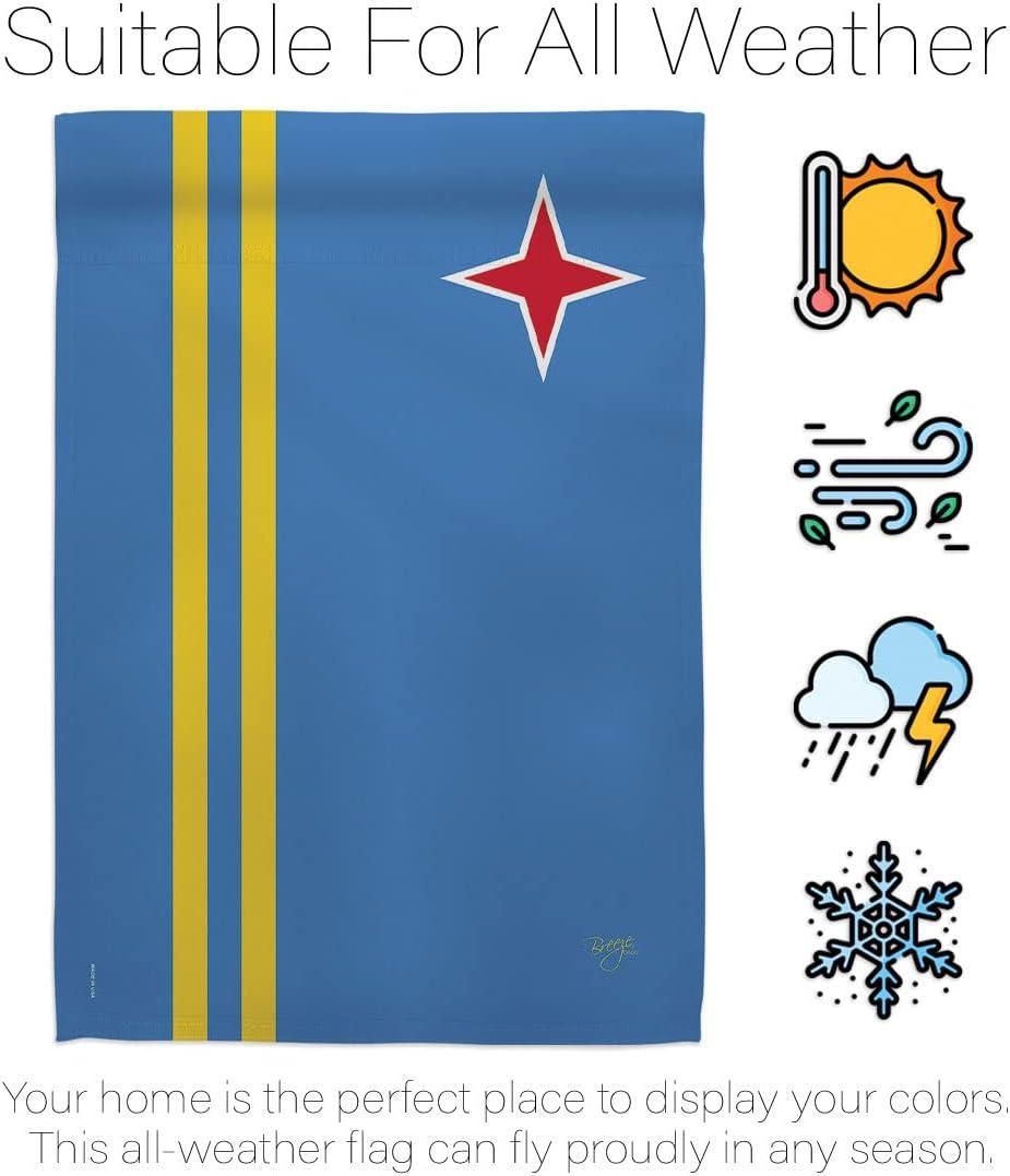 Double Sided Polyester House Flag