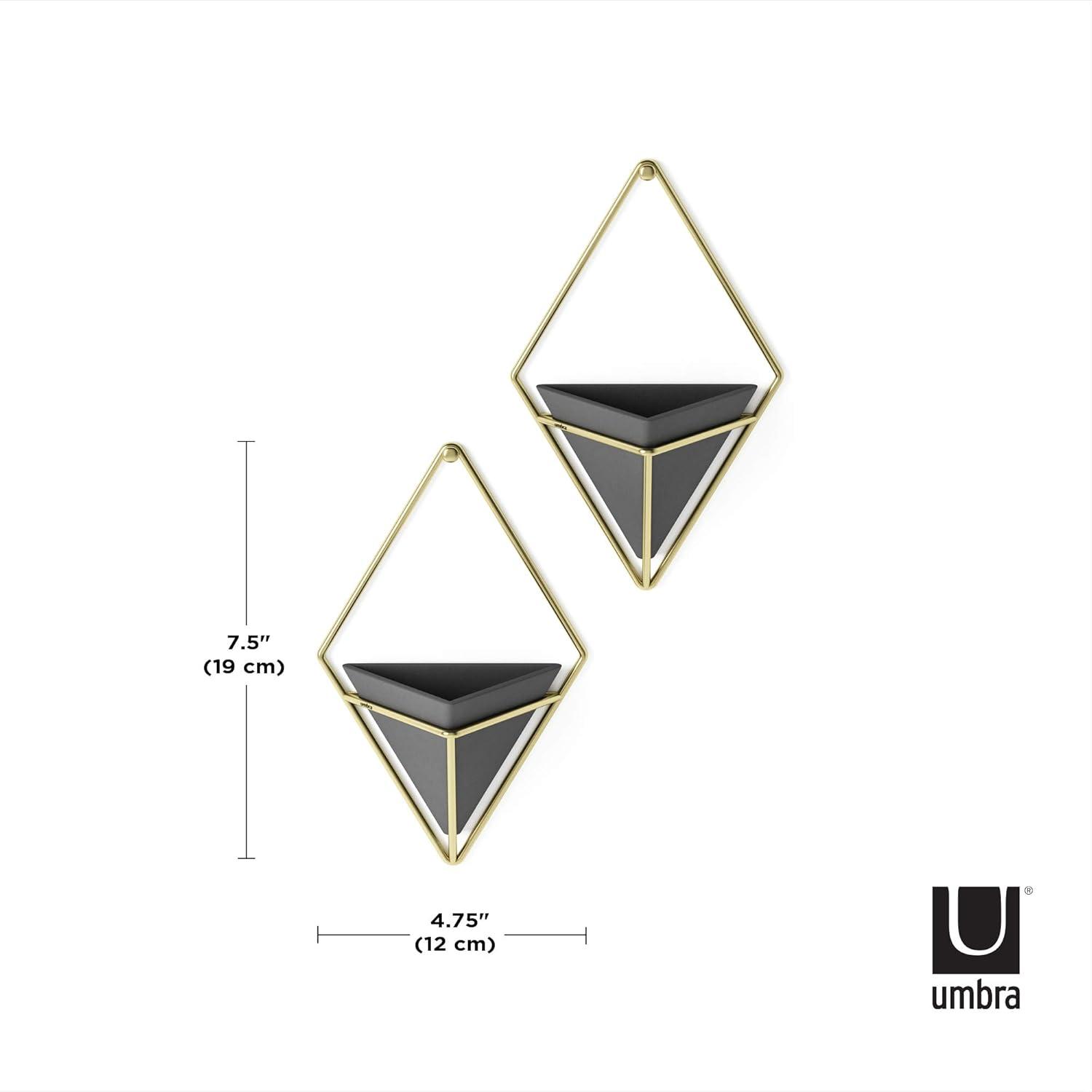 Trigg Wall Décor (Set of 2)