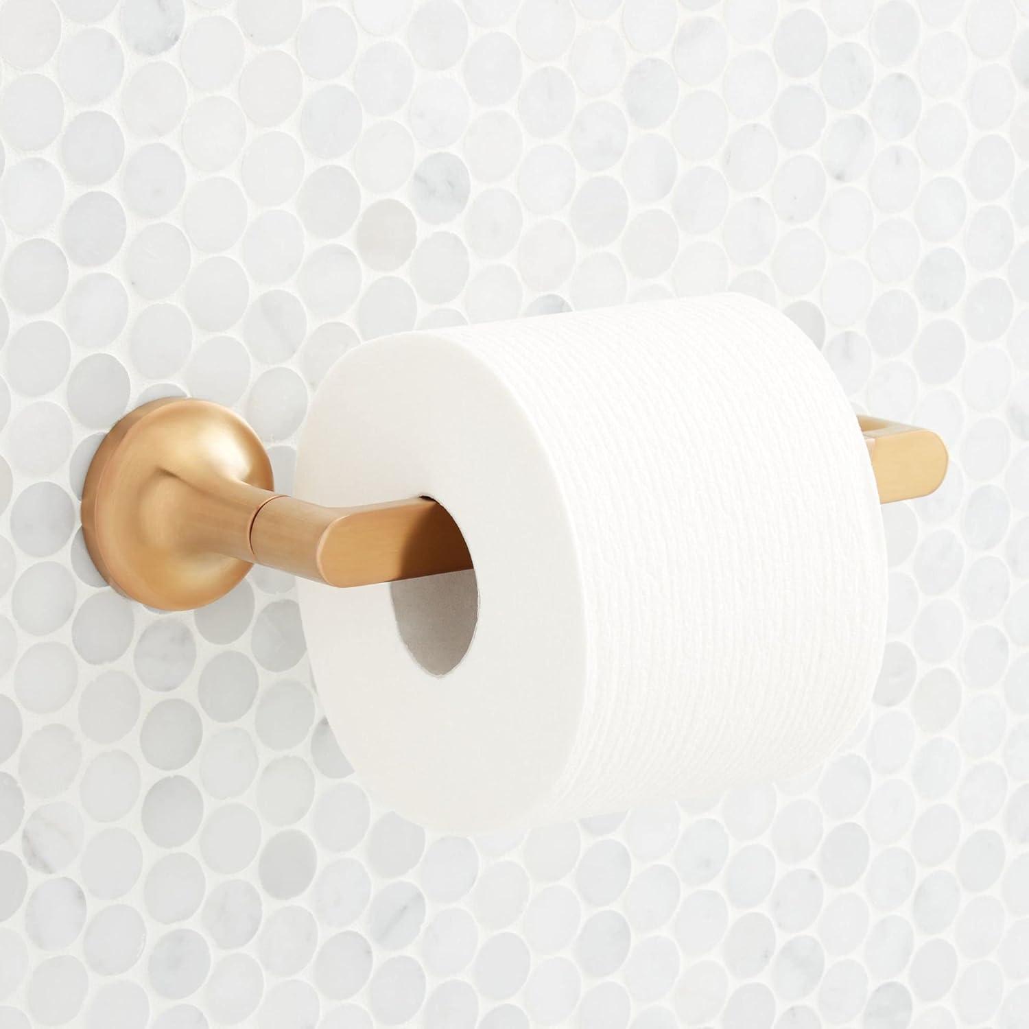 Lentz Wall Mounted Pivoting Toilet Paper Holder