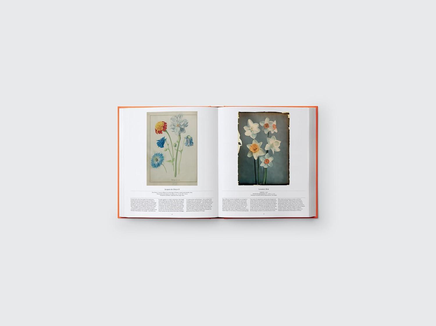 Flower: Exploring the World in Bloom Hardcover Art Book