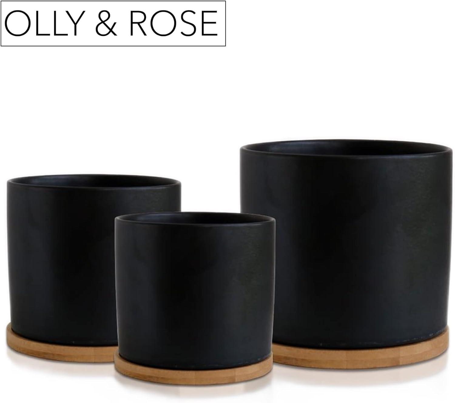 Olly & Rose Black Set 3 Ceramic Plant Pots with Bamboo Coasters Indoor Planters with Saucers