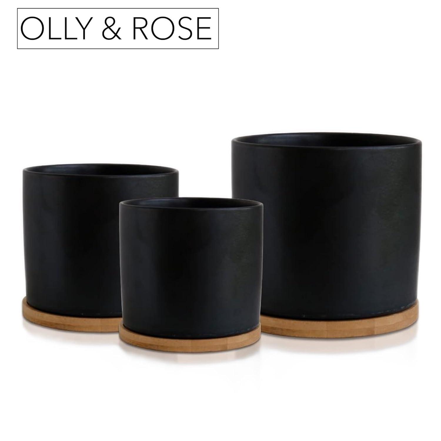 Olly & Rose Black Set 3 Ceramic Plant Pots with Bamboo Coasters Indoor Planters with Saucers