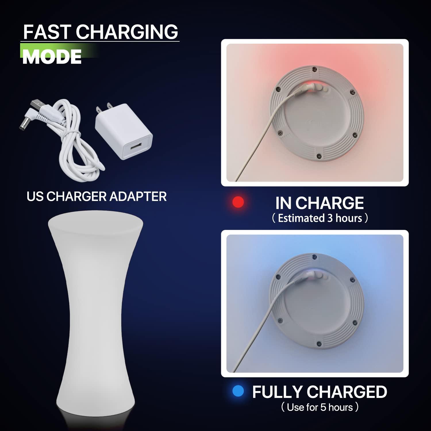 Magshion Mesa de Cóctel LED Brillante de 23 Pulgadas con Control Remoto, Mesa de Pub con Luz Que Cambia de Colores Recargable para Fiesta de Café en el Club Nocturno