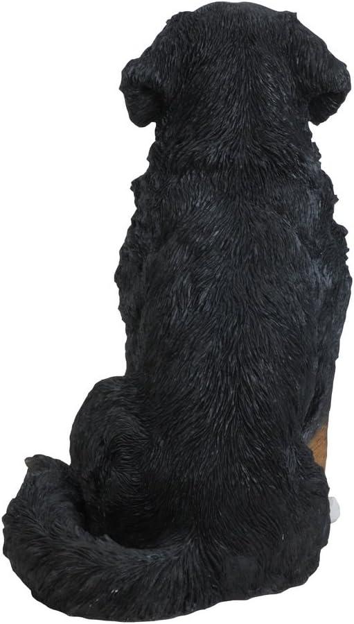 Hi-Line Gift Ltd. Bernese Mountain Dog Statue