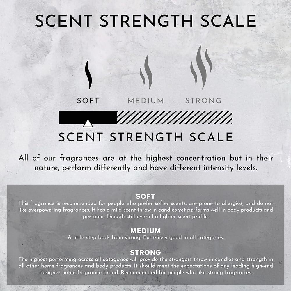 ENVIRONMENT 8oz Candle Inspired by The Ritz Carlton Hotel® - Marine | Bergamot | Jasmine