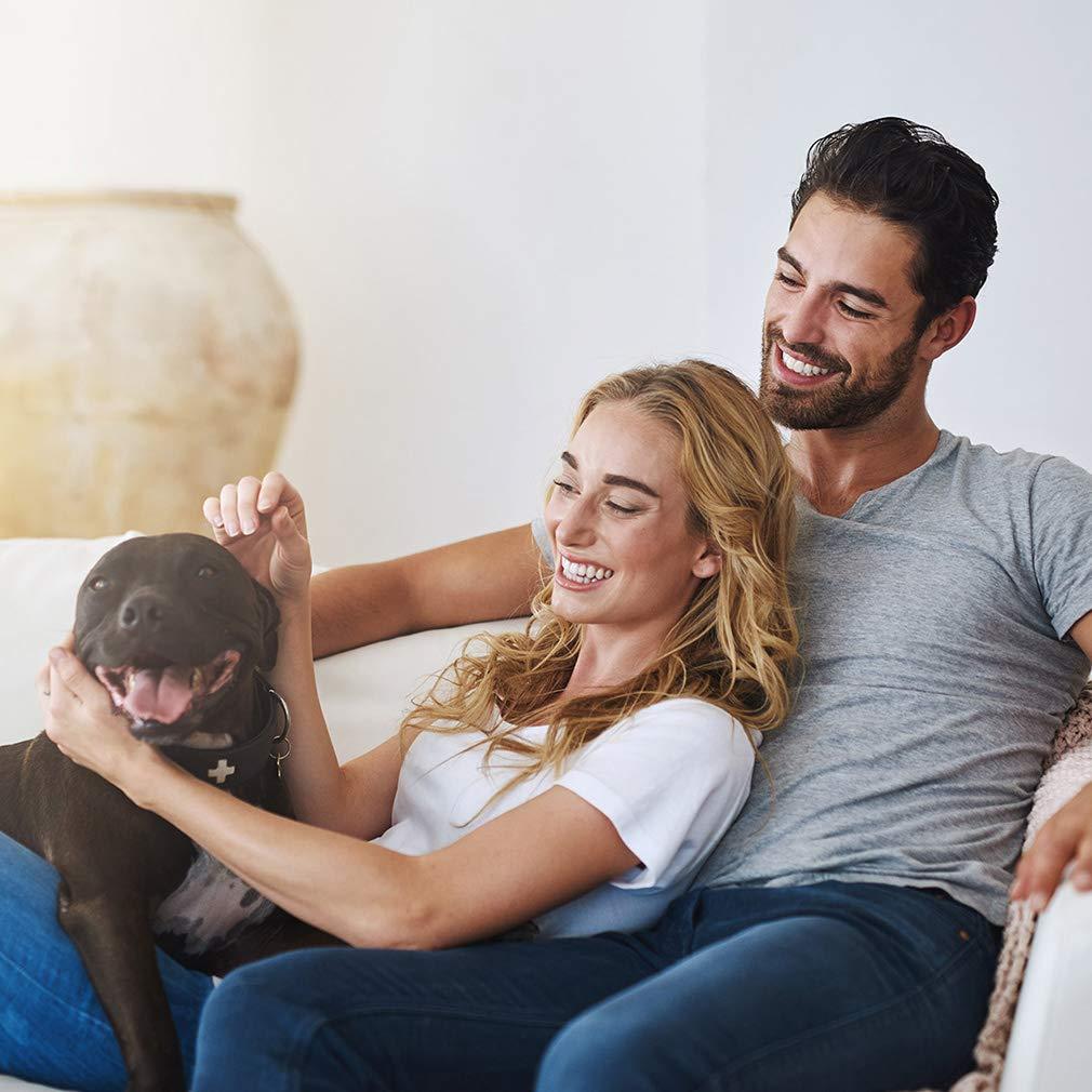 BestPet Foldable Pet Jogger Stroller