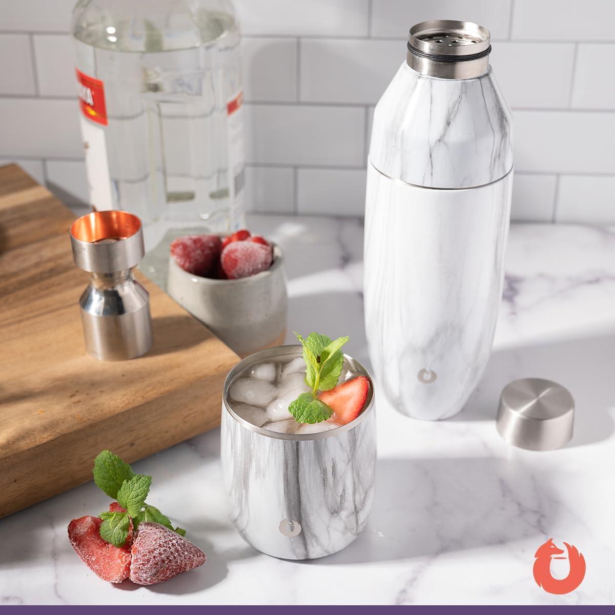 Elegant Stainless Steel Insulated Whiskey Glass Set