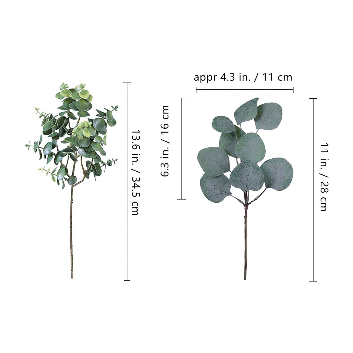 ToccoLeggero 10 Pcs Mixed Eucalyptus Leaves Stems Bulk Artificial Silver Dollar Picks Faux Branches For Vase Bouquets Floral Arrangement Wreath Farmhouse Rustic Greenery Decor